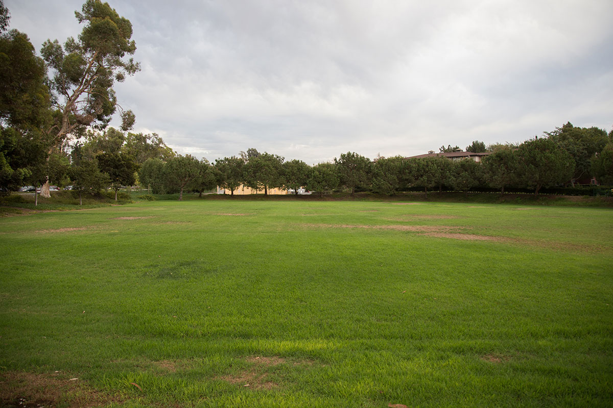 Mesa Field