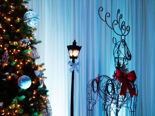 Winter Wonderland decor