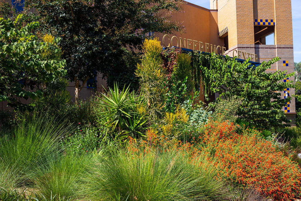 Landscaping