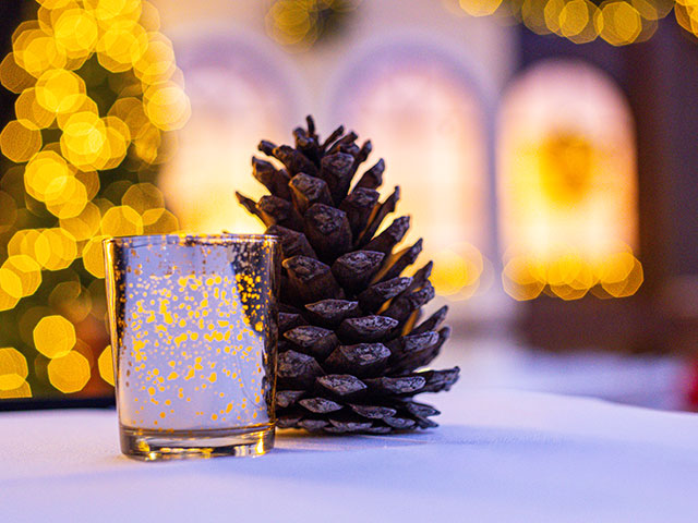 Winter Wonderland decor